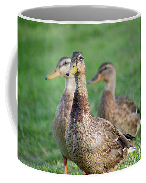 Three Little Ducks - Mug