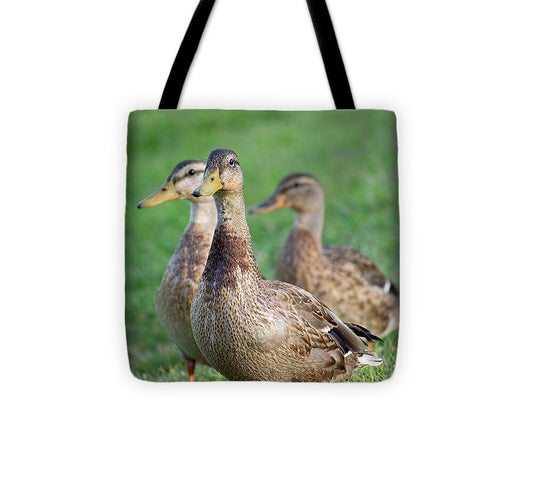 Three Little Ducks - Tote Bag