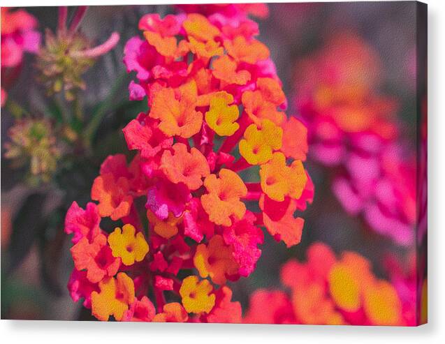 Tiny Flowers Landscape  - Canvas Print