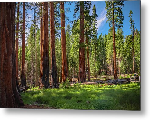 Wall art Wonders in Yosemite National Park - Metal Print