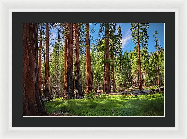Wall art Wonders in Yosemite National Park - Framed Print