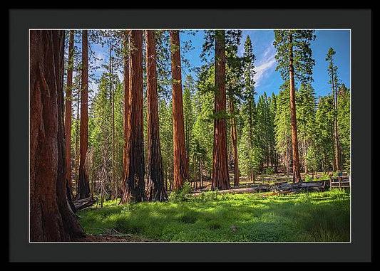 Wall art Wonders in Yosemite National Park - Framed Print