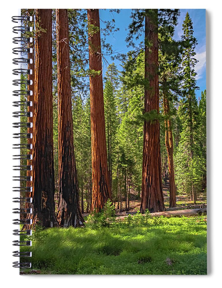 Wall art Wonders in Yosemite National Park - Spiral Notebook