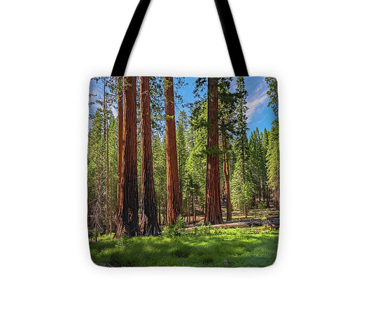 Wall art Wonders in Yosemite National Park - Tote Bag