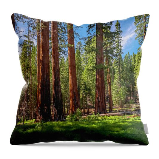 Wall art Wonders in Yosemite National Park - Throw Pillow