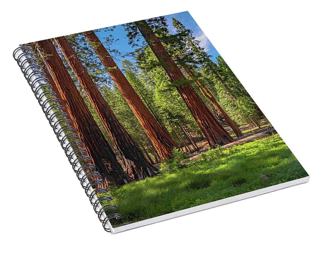 Wall art Wonders in Yosemite National Park - Spiral Notebook