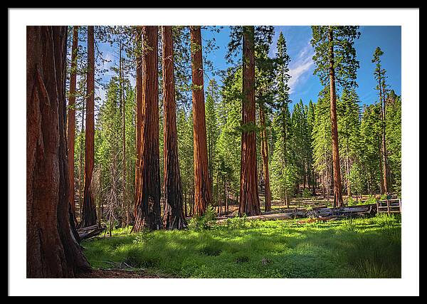 Wall art Wonders in Yosemite National Park - Framed Print