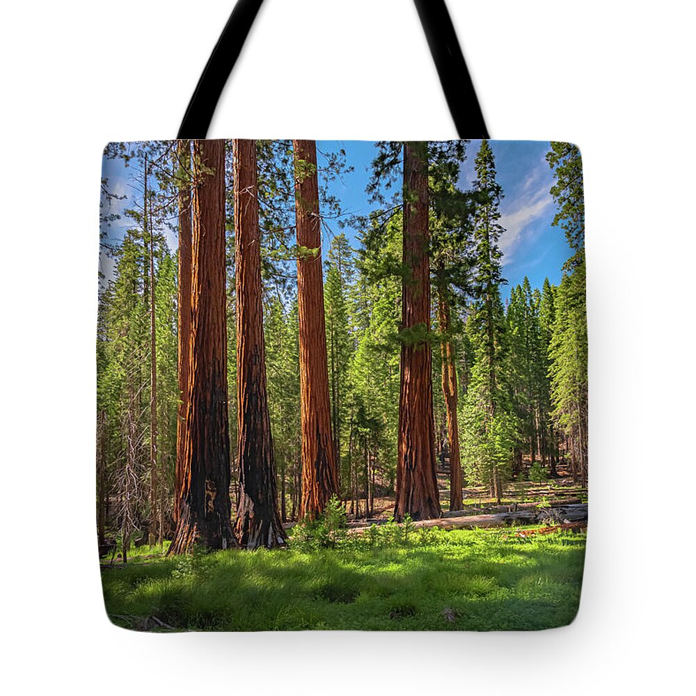 Wall art Wonders in Yosemite National Park - Tote Bag