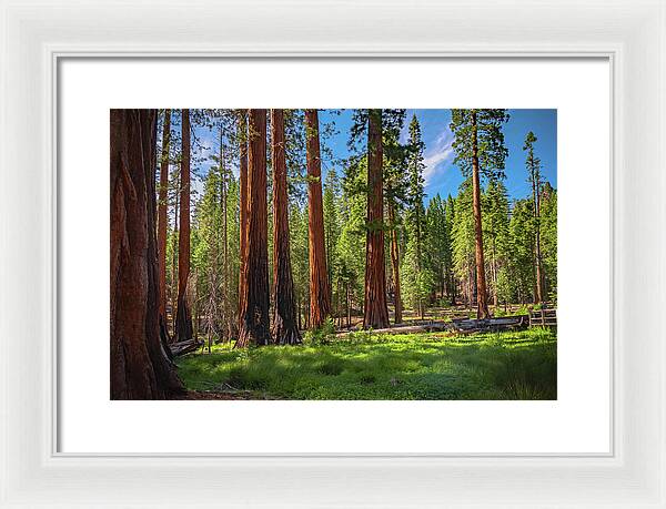 Wall art Wonders in Yosemite National Park - Framed Print