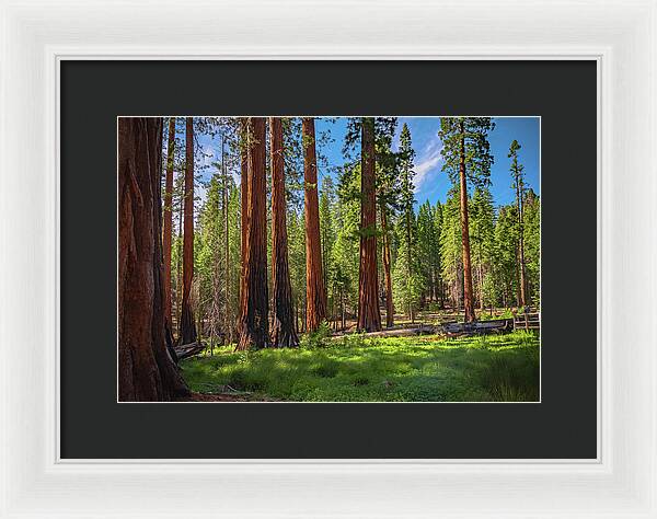 Wall art Wonders in Yosemite National Park - Framed Print