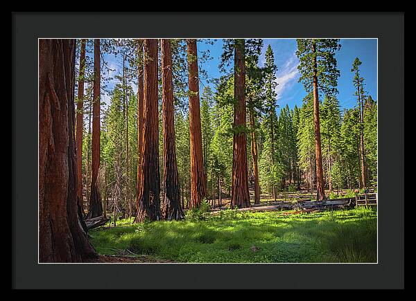 Wall art Wonders in Yosemite National Park - Framed Print