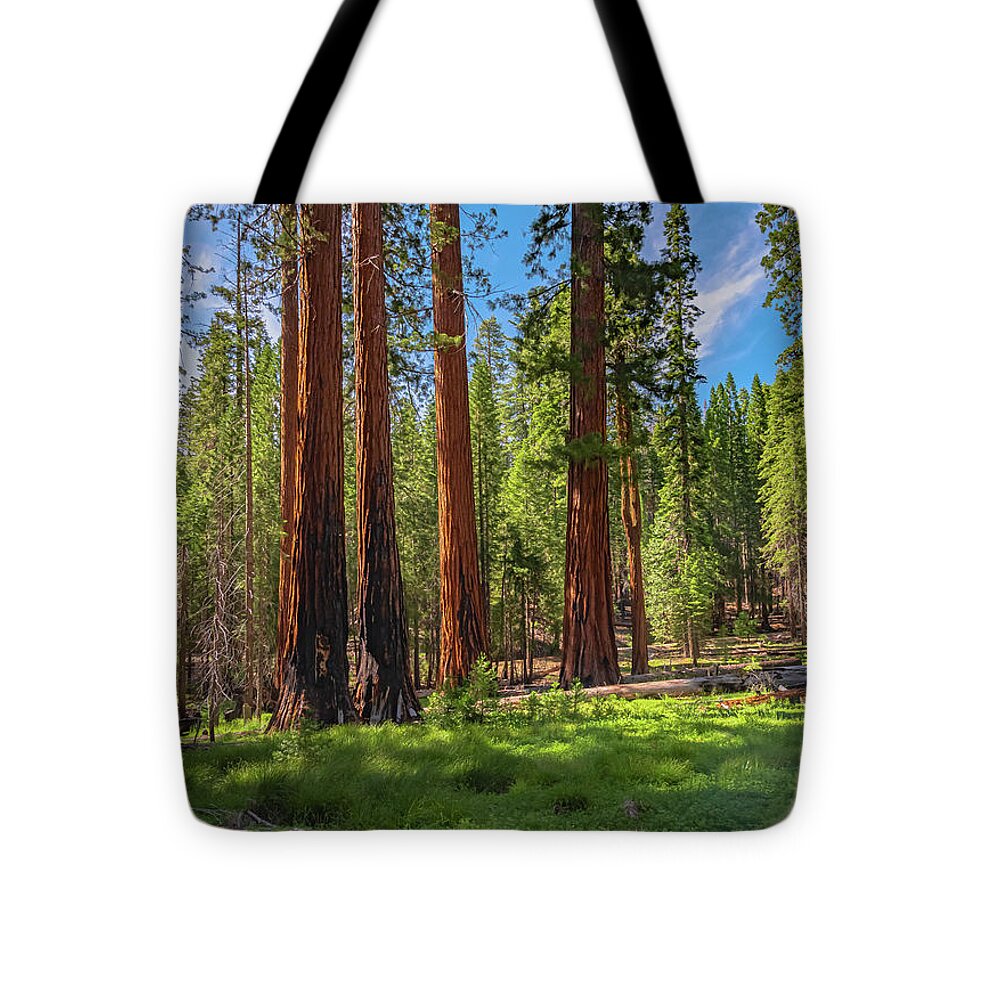 Wall art Wonders in Yosemite National Park - Tote Bag