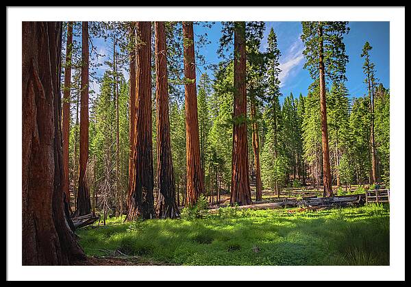 Wall art Wonders in Yosemite National Park - Framed Print