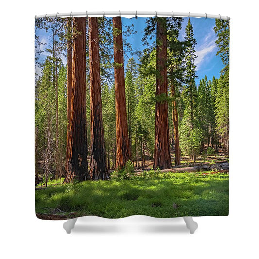 Wall art Wonders in Yosemite National Park - Shower Curtain