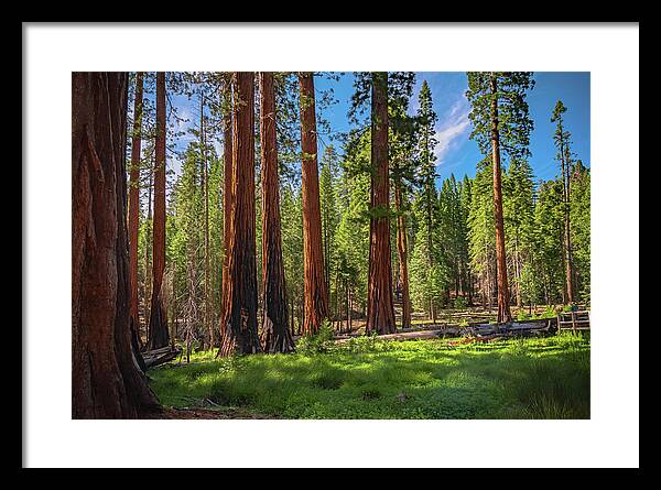 Wall art Wonders in Yosemite National Park - Framed Print
