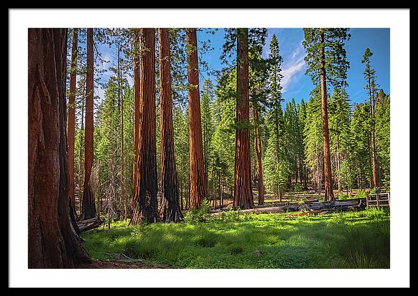 Wall art Wonders in Yosemite National Park - Framed Print