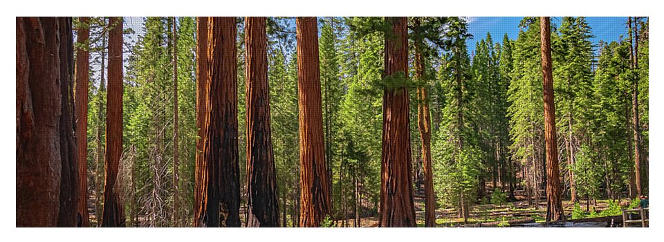 Wall art Wonders in Yosemite National Park - Yoga Mat