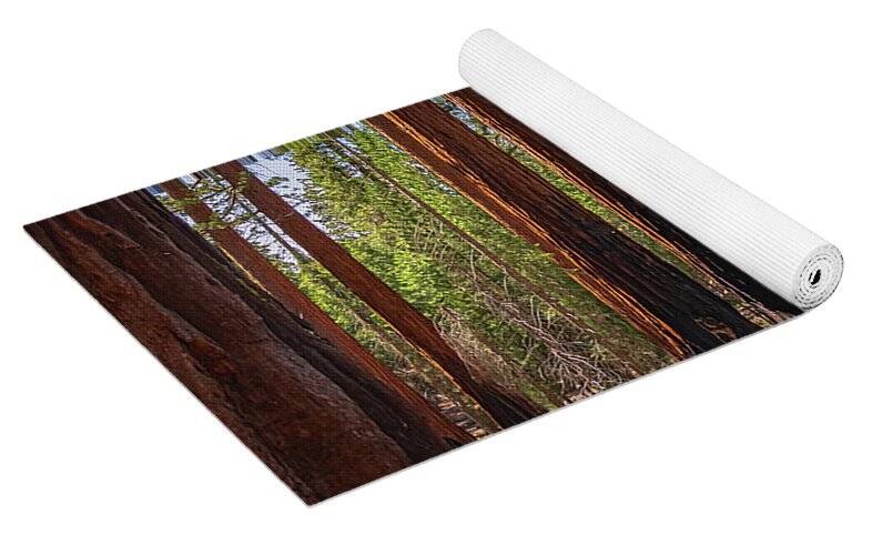 Wall art Wonders in Yosemite National Park - Yoga Mat