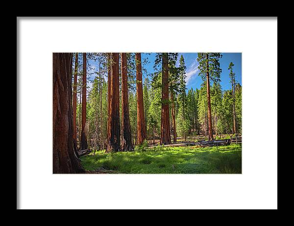 Wall art Wonders in Yosemite National Park - Framed Print