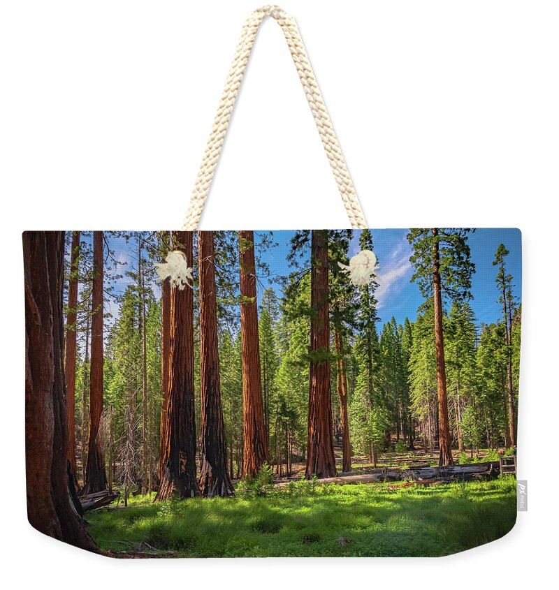 Wall art Wonders in Yosemite National Park - Weekender Tote Bag