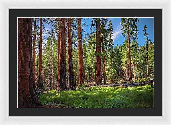 Wall art Wonders in Yosemite National Park - Framed Print