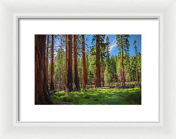 Wall art Wonders in Yosemite National Park - Framed Print