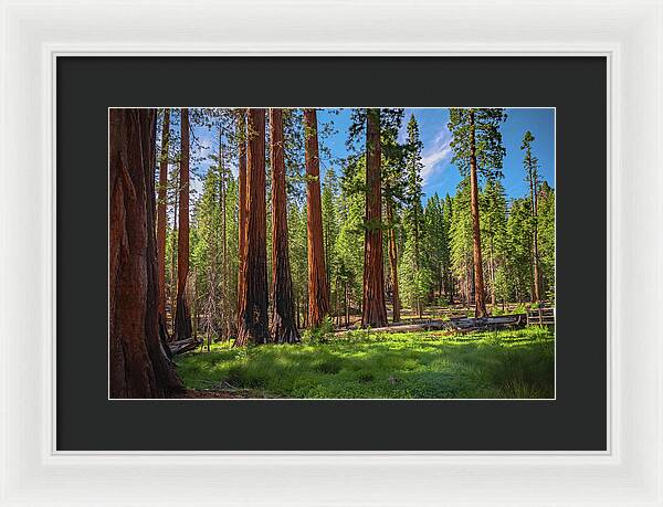 Wall art Wonders in Yosemite National Park - Framed Print
