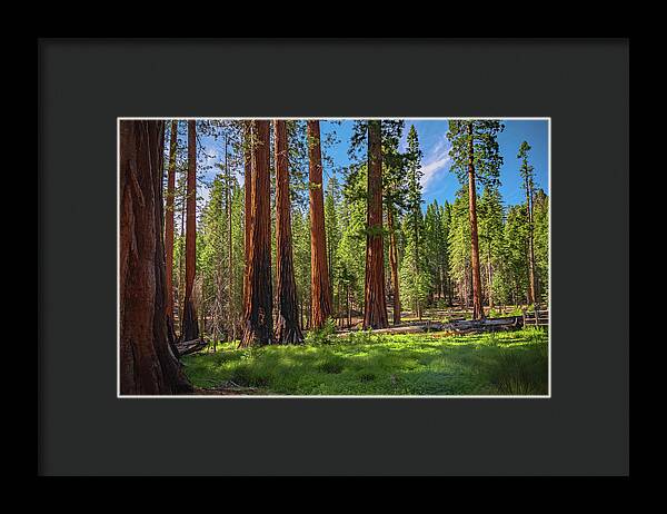 Wall art Wonders in Yosemite National Park - Framed Print