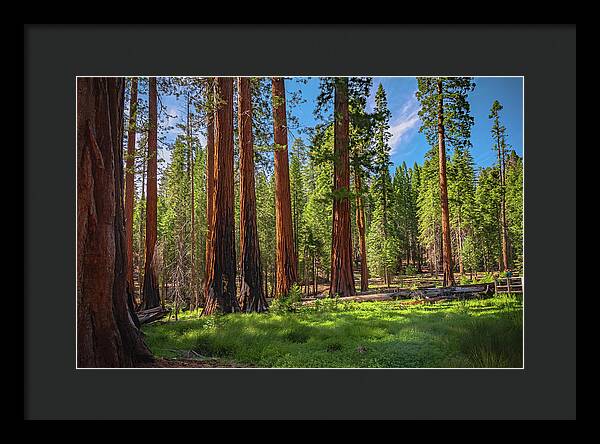 Wall art Wonders in Yosemite National Park - Framed Print
