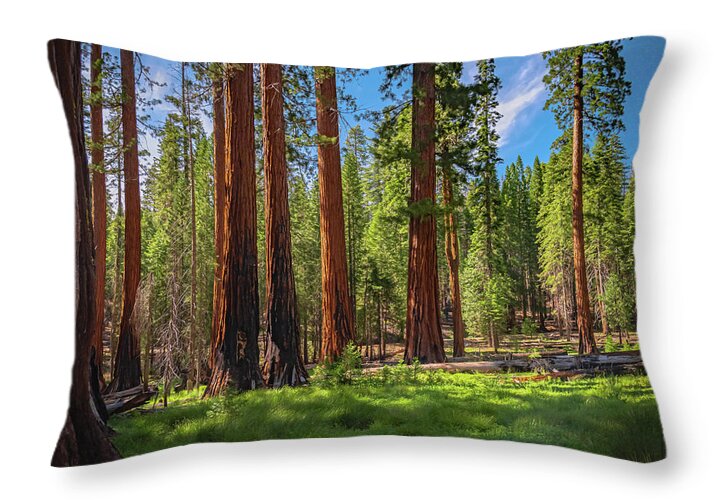 Wall art Wonders in Yosemite National Park - Throw Pillow