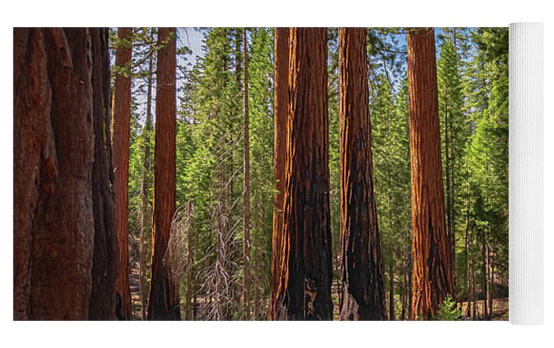 Wall art Wonders in Yosemite National Park - Yoga Mat