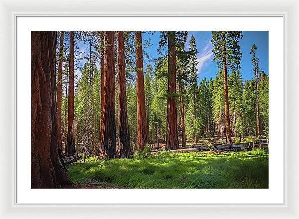 Wall art Wonders in Yosemite National Park - Framed Print