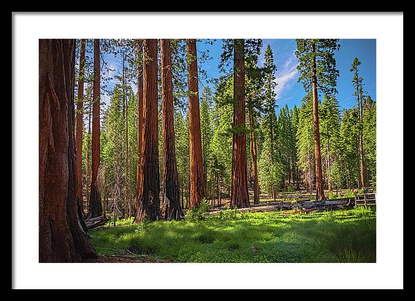 Wall art Wonders in Yosemite National Park - Framed Print