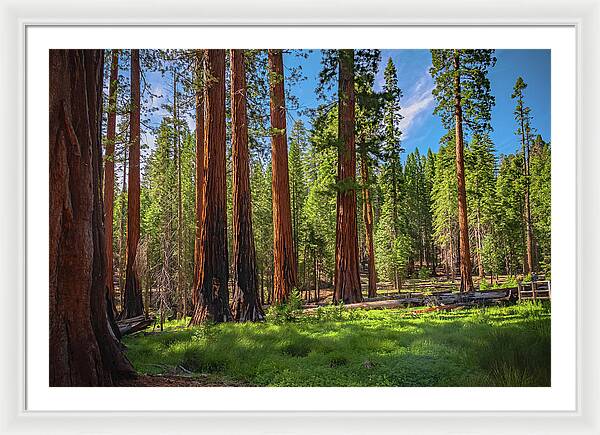 Wall art Wonders in Yosemite National Park - Framed Print