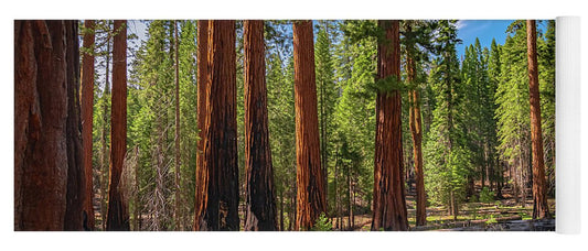 Wall art Wonders in Yosemite National Park - Yoga Mat