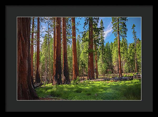 Wall art Wonders in Yosemite National Park - Framed Print