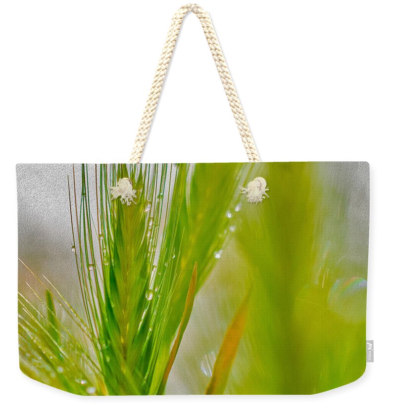 Water Droplets on Green Grass  - Weekender Tote Bag