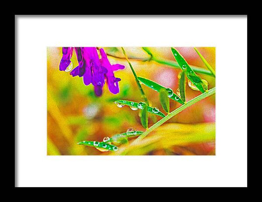 Water Drops on Flowers and Their Tiny Leaves - Framed Print