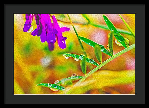 Water Drops on Flowers and Their Tiny Leaves - Framed Print