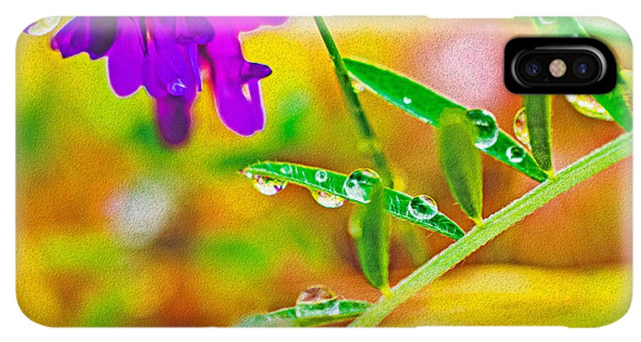 Water Drops on Flowers and Their Tiny Leaves - Phone Case