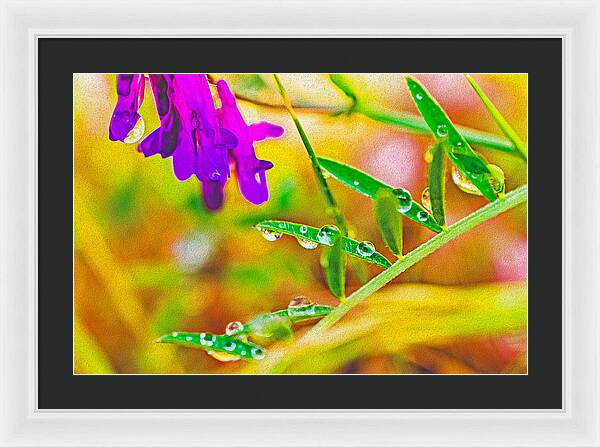 Water Drops on Flowers and Their Tiny Leaves - Framed Print
