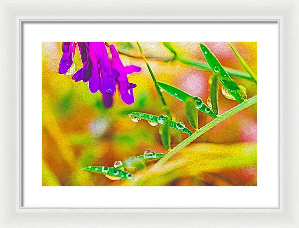 Water Drops on Flowers and Their Tiny Leaves - Framed Print