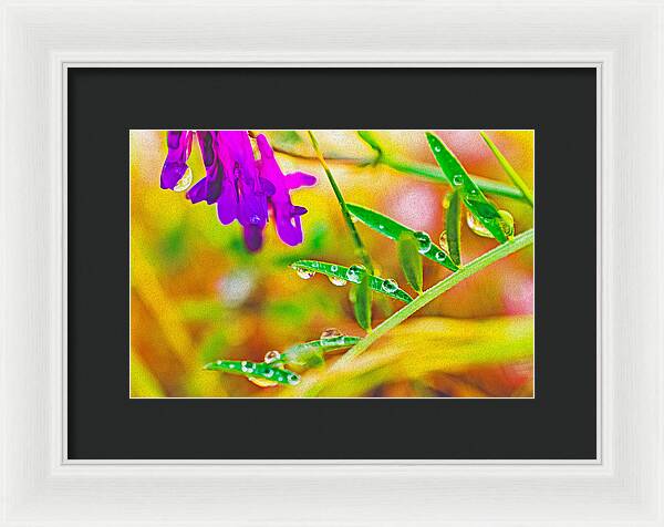 Water Drops on Flowers and Their Tiny Leaves - Framed Print