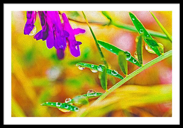 Water Drops on Flowers and Their Tiny Leaves - Framed Print