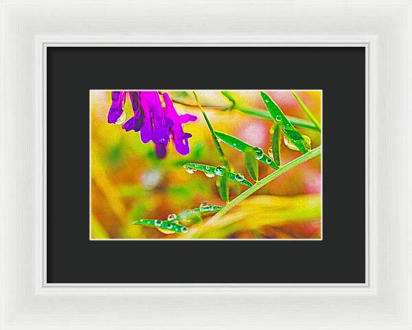 Water Drops on Flowers and Their Tiny Leaves - Framed Print