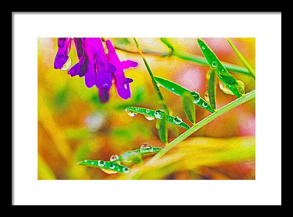 Water Drops on Flowers and Their Tiny Leaves - Framed Print