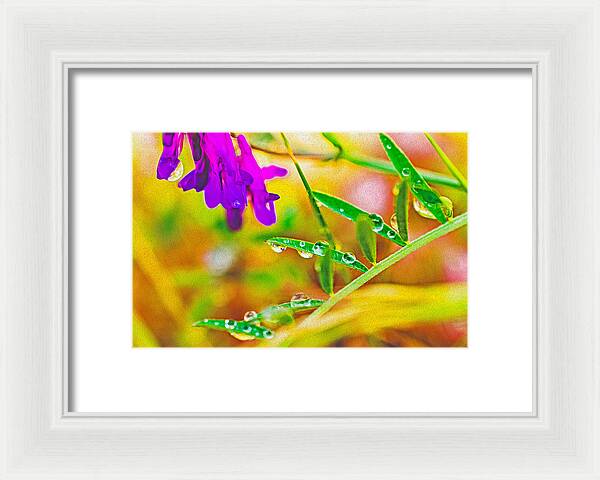 Water Drops on Flowers and Their Tiny Leaves - Framed Print