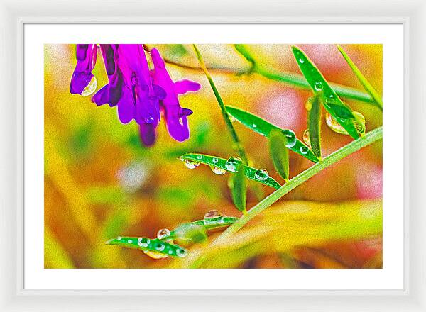 Water Drops on Flowers and Their Tiny Leaves - Framed Print