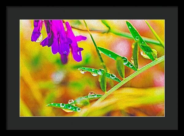 Water Drops on Flowers and Their Tiny Leaves - Framed Print