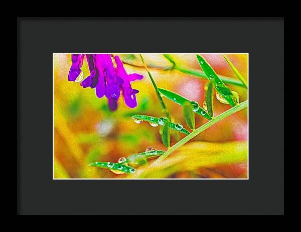 Water Drops on Flowers and Their Tiny Leaves - Framed Print